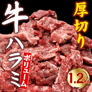 あんどう醤油の 旨タレ 厚切り牛ハラミ 讃岐 焼肉 BBQ 肉厚 肉 牛ハラミ 焼くだけ 簡単 送料無料 香川県 三豊市 パーティー ふるさと納税オリジナル 味付け肉 柔らかい 国産 牛肉 おもてなし 大家族 完全オリジナル はらみ ハラミ はらみ ハラミ はらみ ハラミ はらみ ハラミ はらみ ハラミ はらみ ハラミ はらみ ハラミ はらみ ハラミ はらみ ハラミ はらみ ハラミ はらみ ハラミ はらみ ハラミ はらみ ハラミ はらみ ハラミ はらみ ハラミ はらみ ハラミ はらみ ハラミ はらみ ハラミ