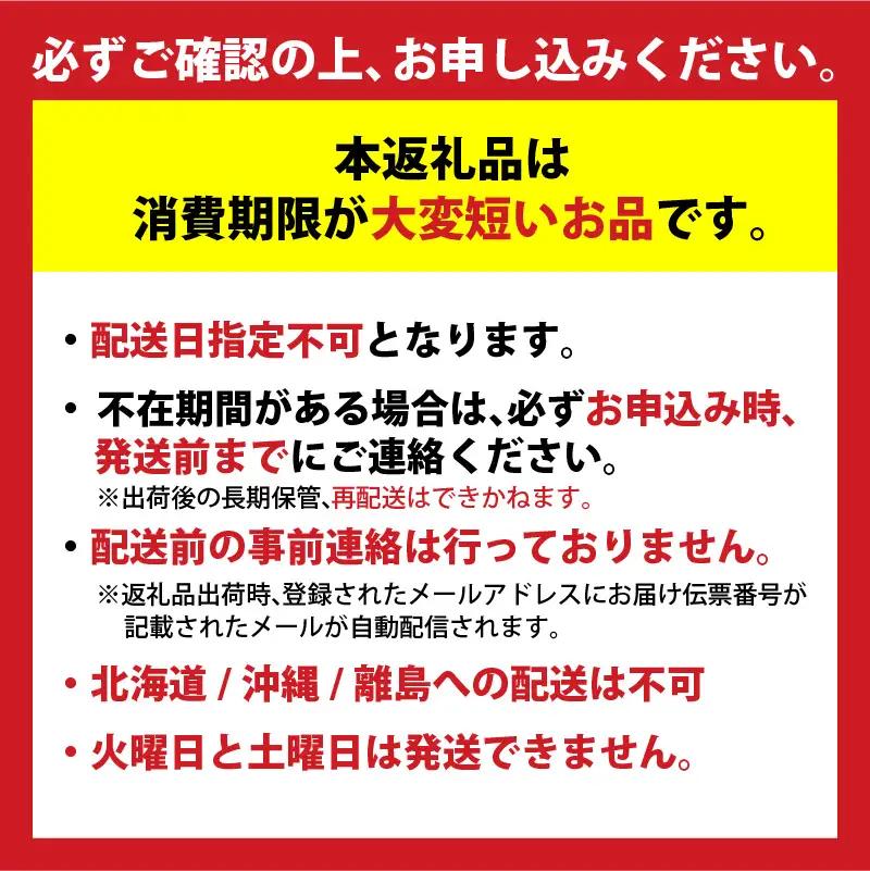 《先行予約》 ボイル ホタルイカ 小分け 250g×4パック 酢味噌付 【令和9年3月以降発送予定】 ほたるいか いか イカ 10-14