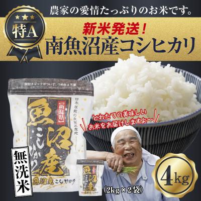 ふるさと納税 南魚沼市 無洗米 令和7年産 南魚沼産 コシヒカリ 4kg (美味しいお米の炊き方ガイド付き)