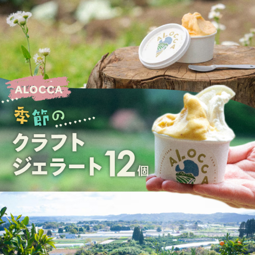 日時指定可能◎オーガニックタウン綾町から届く、季節のクラフトジェラート〈12個セット〉_A0093-003