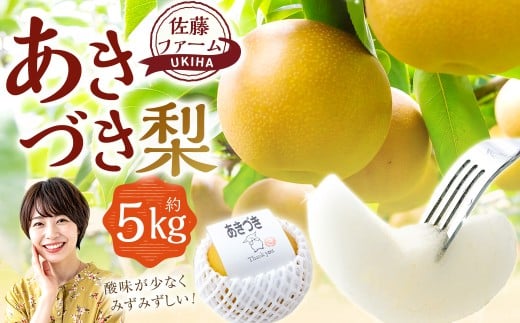 【先行予約】 佐藤ファーム あきづき梨 8玉～13玉 （約5kg） 【2026年9月上旬より順次発送予定】 梨 なし ナシ 秋月 あきづき 果物 くだもの フルーツ 果実 新鮮 フレッシュ ジューシー お取り寄せ 福岡県 うきは市 常温