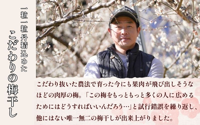 紀州南高梅 白干し1kg /塩分：約18％　　【jke002】