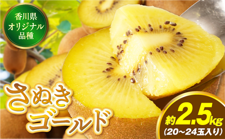 【先行受付】香川県オリジナルキウイフルーツ「さぬきゴールド」約 2.5kg【香川県共通返礼品】 | 果物 フルーツ 青果 青果物 キウイ さぬきゴールド デザート 果実 贈答 贈り物 ギフト 甘い 追熟 ジューシー 糖度が高い 季節のフルーツ 旬 おすすめ 香川県 三木町 |_mk006-020