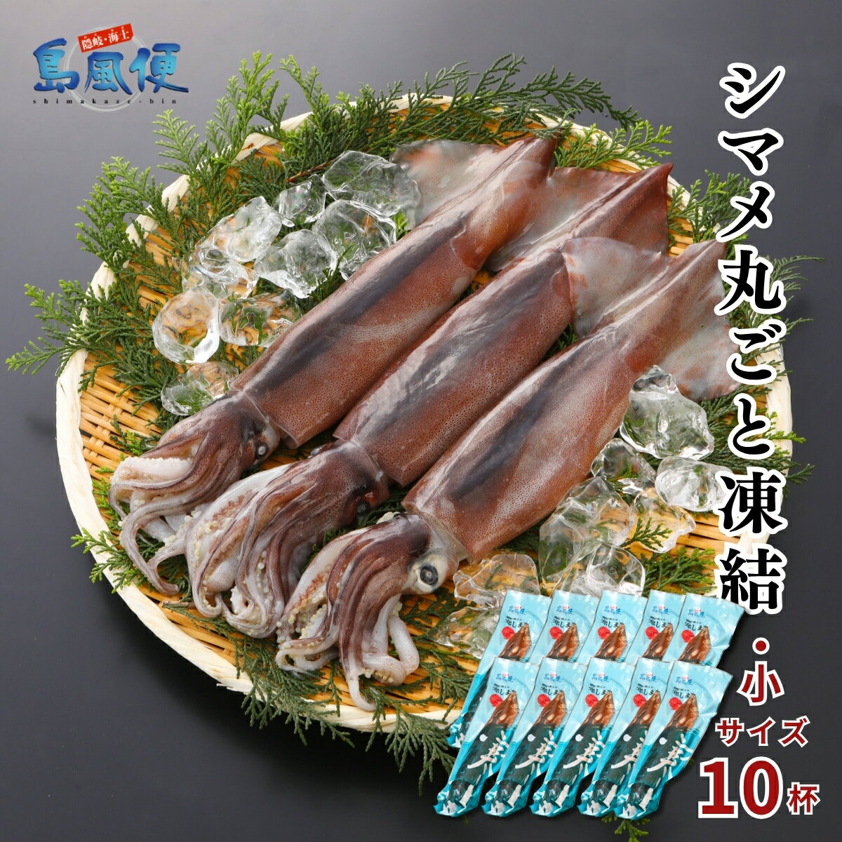 【ふるさと納税】【お徳用】【小10杯】【胴だけで20cm前後】シマメ丸ごと凍結1.6kg【1杯160g】 スルメイカ 烏賊 お刺身 おつまみ いかそうめん 冷凍 国産 肝 うり いかわた 塩辛 島根 隠岐 産地直送 ギフト 海士町 CAS