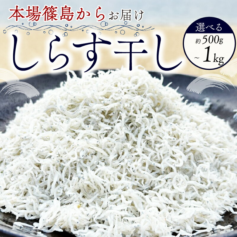 【ふるさと納税】 選べる 篠島産しらす干し 約500g~1kg しらす しらす干し シラス 釜揚げ 冷凍 料理 丼 天ぷら かき揚げ チャーハン パスタ うどん ごはん おかず おすすめ 海鮮 鮮魚 夕食 惣菜 お手軽 簡単 本場 新鮮 人気 南知多 愛知県 南知多町