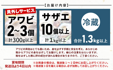 【期間限定】天然！活アワビ ＆ 活サザエ セットB(アワビ殻はずしサービス付き)【2024年6月20日から2024年8月10日まで発送】【産地直送 刺身 お造り おせち バター焼き BBQ あわび 鮑