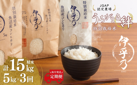 魚沼産コシヒカリ 特別栽培「伊乎乃」 5kg×3か月連続お届けうちがまき絆 | 15キロ 新潟県 魚沼 令和7年