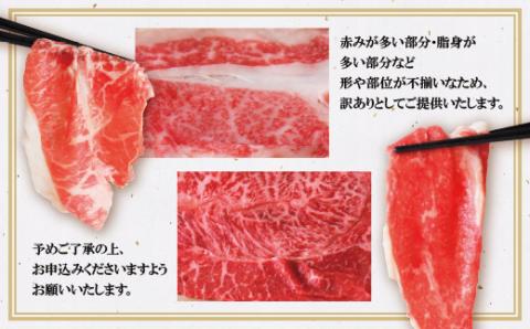 【8/19寄附額改定】【訳あり】博多和牛　切り落とし2kg