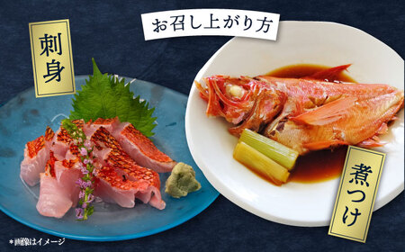 【冬季限定】下ごしらえ済 キンメダイ 約500〜800g 鮮魚 処理済み 下処理済み【長井水産株式会社】[AKAJ029]