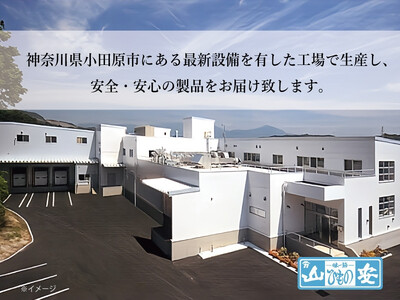 【小田原　山安】おまかせ干物セット　約３ｋｇ【 干物 神奈川県 小田原市 】