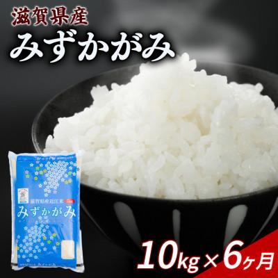 ふるさと納税 彦根市 【毎月定期便】みずかがみ 10kg 【滋賀でとれたお米、近江米!】全6回
