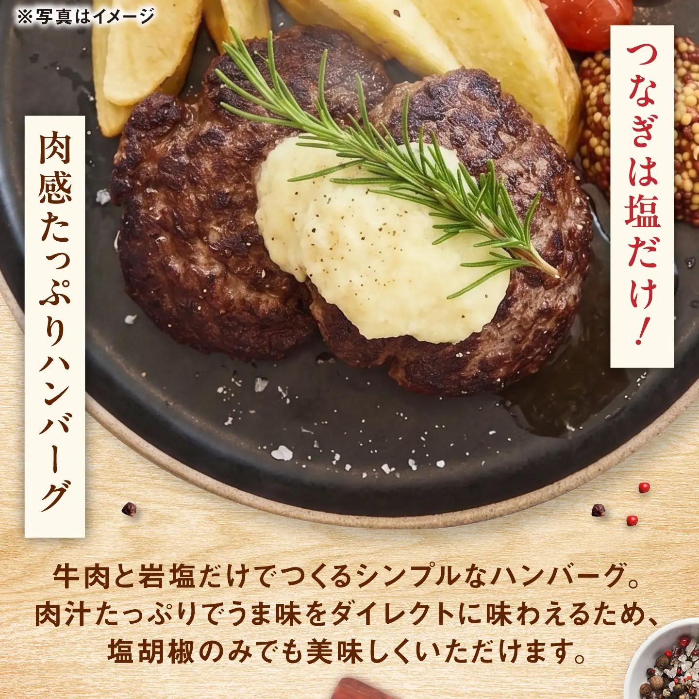 佐賀県産 しろいし牛 手ごねハンバーグ 5個(1個120g) / 牧場直送 国産 牛肉 ハンバーグ おかず / 佐賀県 / 有限会社佐賀セントラル牧場[41ASAA323]