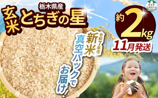 【先行予約】【令和7年度新米】【毎月500個限定！】 【栃木県共通返礼品】栃木県産とちぎの星 2kg（玄米真空パック）11月分 | 新米 とちぎの星 玄米 米 ごはん  冷めてもおいしい ふるさと納税 那珂川町 栃木県