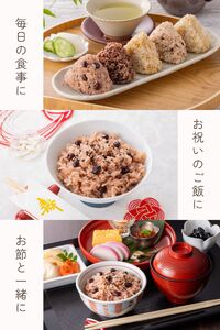 定期便 12ヶ月 ご飯パック 金賞 健康米 赤飯 120g×12個入り 御飯 ごはん パック ご飯 パックライス