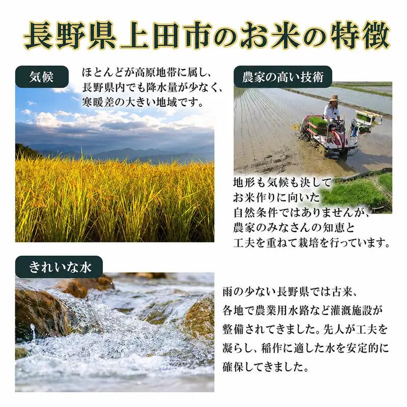 米 令和7年産 長野 風さやか 5kg お米 こめ コメ おこめ 白米 精米 5キロ オリジナル オリジナル米 ブランド米 かぜさやか 信州 長野県 上田市 上田