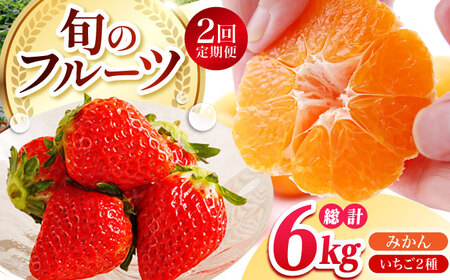 【全2回定期便】 旬のフルーツ定期便 （ みかん ・ いちご ）[HZY101]