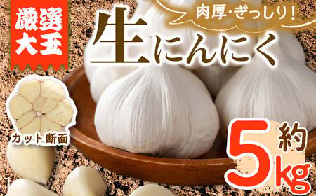 ＜先行予約！2027年5月上旬以降順次発送予定＞ 香川県産 厳選大玉生にんにく(約5kg) 国産 ニンニク ガーリック 薬味 野菜 【man069】【Aglio nero】