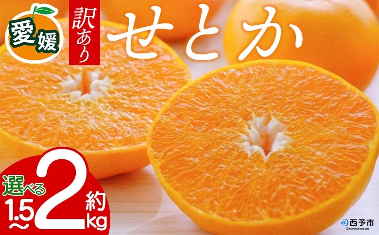 
                  【先行予約】＜訳あり 愛媛県産せとか 約1.5kg／2kg＞ 『2027年2月以降順次出荷予定』ご家庭用 ご自宅用 お試し 芳醇 わけあり 果物 柑橘 フルーツ 高級柑橘 国産 とろける食感 濃厚 果汁 産地直送 特産品 ミヤモトオレンジガーデン 愛媛県 西予市【常温】
                