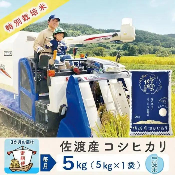 【定期便 5kg 3回】 無洗米 コシヒカリ 令和8年 計 15キロ | 新潟県 佐渡市 コシヒカリ