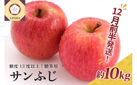 【2025年12月前半発送】 りんご 約10kg サンふじ 青森産 糖度 13度以上　贈答用 特選～特秀