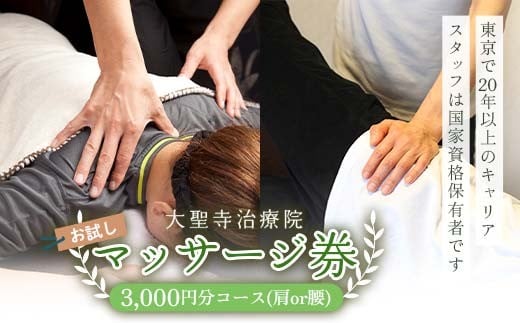 
            【選べる種類】大聖寺治療院 【お試し】肩マッサージ券 腰マッサージ券（3,000円分コース） 治療 整体 疲労回復 プレゼント 癒し F6P-2799var
          