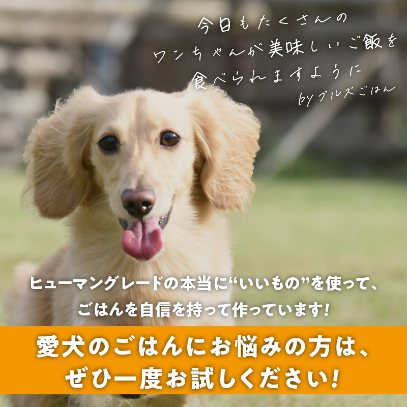ペットフード　無添加ワンちゃん用ボーンブロススープ(CUBE型) 鹿スープ 300g×1袋 鹿スープ