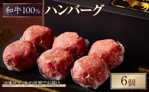＜12～1月中旬配送不可＞＜土日祝着※着日指定不可＞和牛100％生ハンバーグ(6個入)【m96-03-B-2】【昌平】