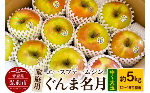 りんご【先行受付】家庭用ぐんま名月 約5kg（中玉～大玉12玉～18玉程度）