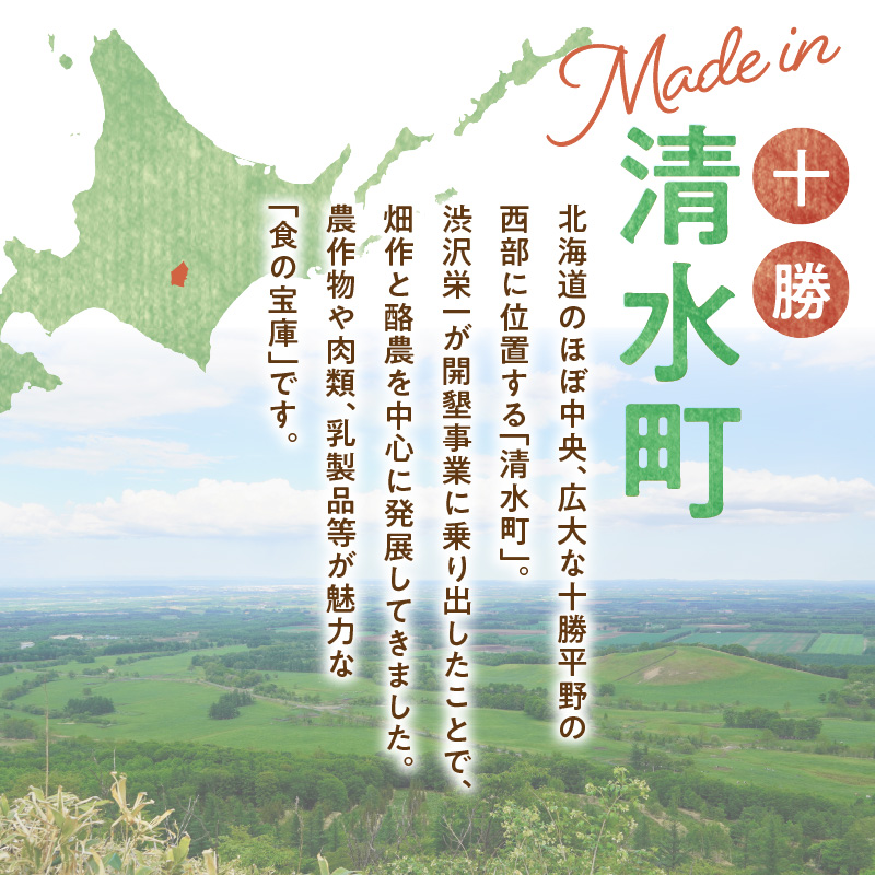 【返礼品なし】北海道清水町への寄附 応援 支援 寄付のみ 返礼品なし (1口：10,000円)_S038-0003