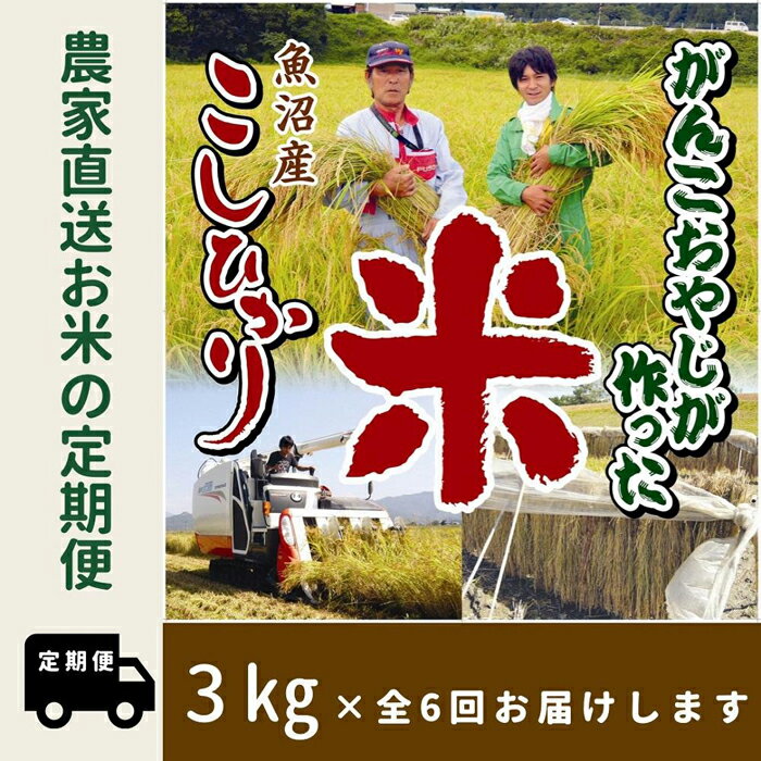 【ふるさと納税】【令和7年産新米予約】6か月定期便　がんこおやじが作った南魚沼産コシヒカリ白米3kg【2025年10月20日頃より順次発送予定】 | お米 こめ 白米 コシヒカリ 食品 人気 おすすめ 送料無料 魚沼 南魚沼 南魚沼市 新潟県産 新潟県 精米