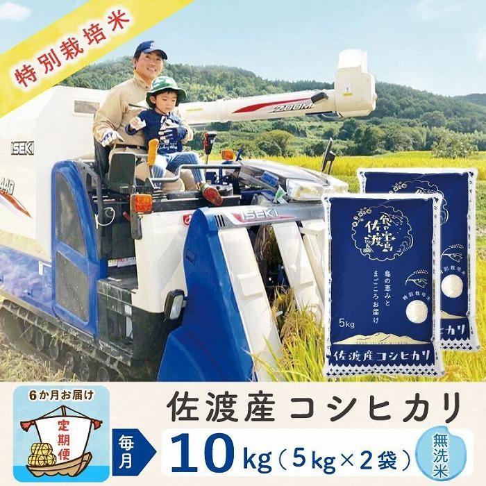 【令和8年産新米 6ヶ月】佐渡島産コシヒカリ 無洗米 10kg 特別栽培米195962-3124