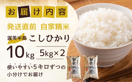 渥美半島産 無洗米 コシヒカリ 10kg 新米 先行予約 米 無洗米 訳あり 米 無洗米 訳あり 米 無洗米 訳あり 米 無洗米 訳あり 米 無洗米 訳あり 米 無洗米 訳あり 米 無洗米 訳あり 米