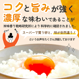 JK-03　のびのび育ちの平飼い有精卵30個
