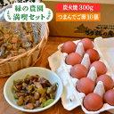 【ふるさと納税】《鶏の炭火焼とブランド卵のセット》緑の農園 満喫セット/炭火焼き/肉/鶏肉/親鶏/親鳥/焼き鳥/酒の肴/おつまみ/たまご/玉子/つまんでご卵/平飼い卵/卵かけご飯 [AGA020] 11000円