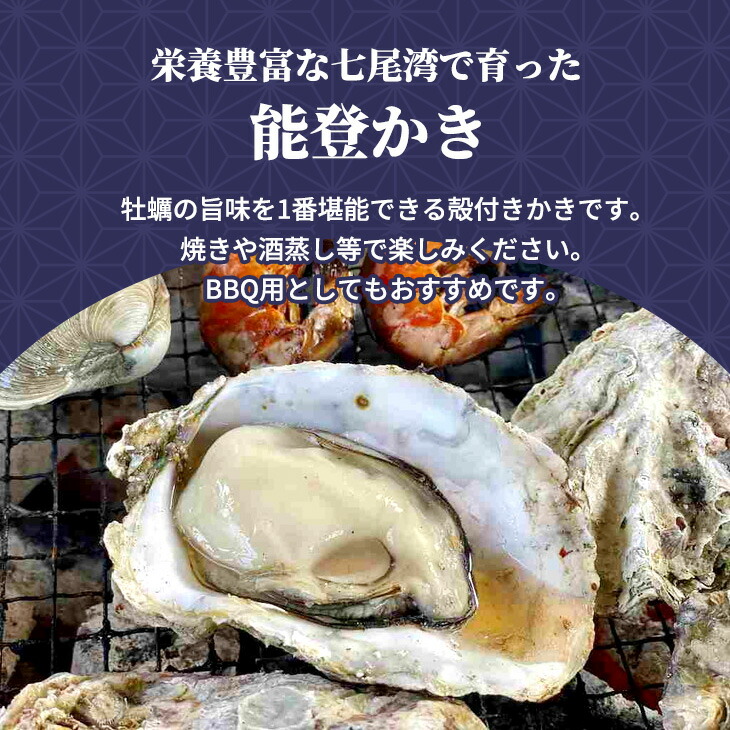 石川県七尾産 能登かき 殻付き（約25個） ※2025年1月上旬～5月下旬頃に順次発送予定 ※北海道・沖縄・離島への配送不可