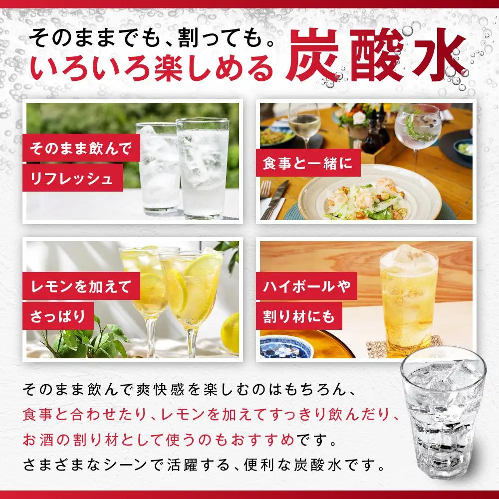 【定期便4か月】アサヒ 炭酸水 ウィルキンソン タンサン ペットボトル 500ml 1ケース 4か月