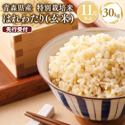 ふるさと納税 平川市 ≪令和8年11月発送≫特別栽培米 はれわたり玄米30kg(10kg×3袋)