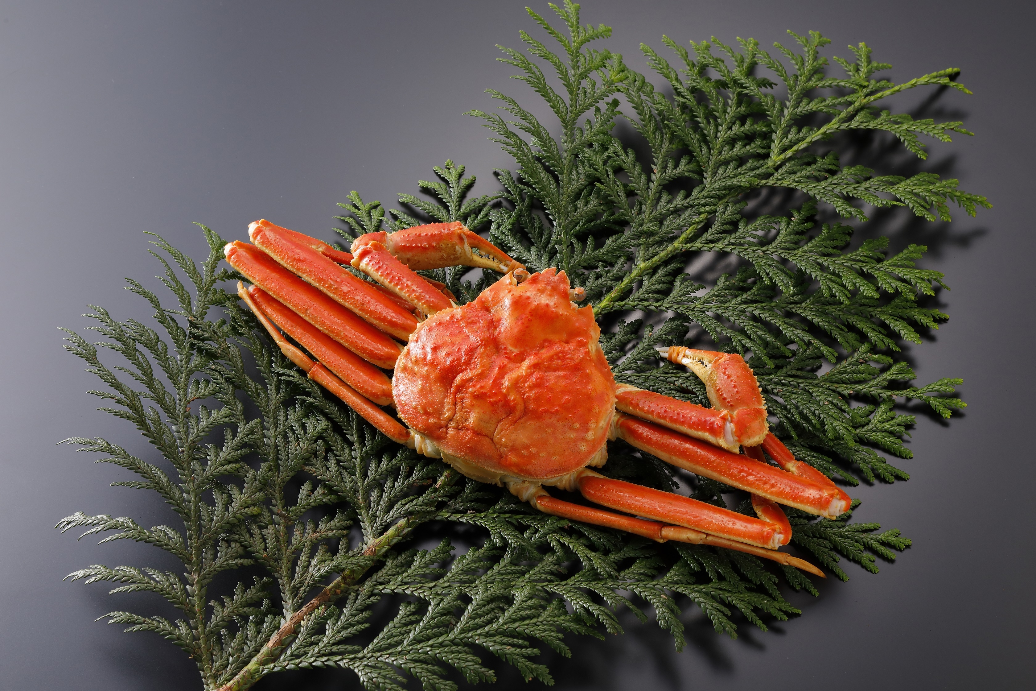 
            【ボイル】訳あり 松葉がに 600g超の大きいサイズ 食べ応えあり　1杯
          