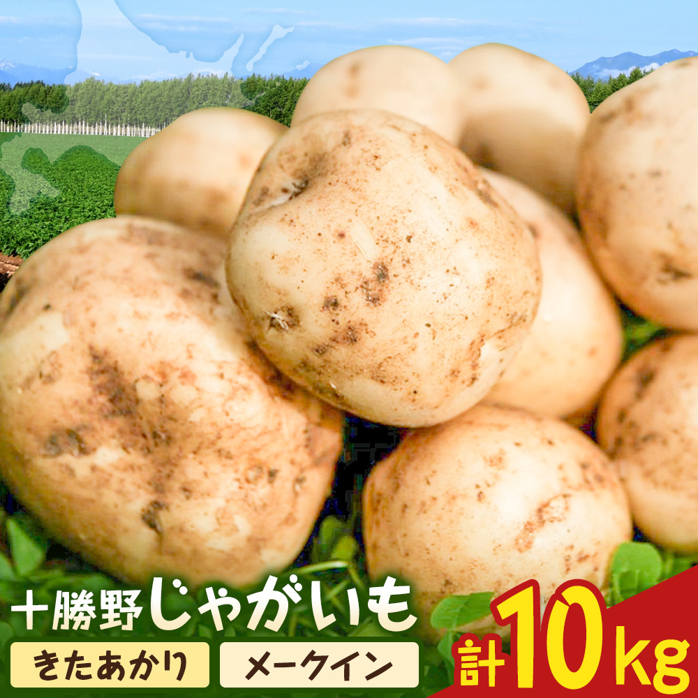 【2026年秋出荷】先行予約 十勝野じゃがいも 詰め合わせセット 10kg きたあかり メークイン 按田農場《2026年10月中旬-11月末頃出荷》北海道 豊頃町 十勝野 じゃがいも セット 農家直送