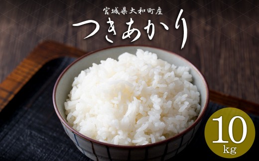 【令和8年産 新米】つきあかり 10kg お米 おこめ 米 コメ 白米 ご飯 ごはん おにぎり お弁当【赤間農業開発株式会社】ta460