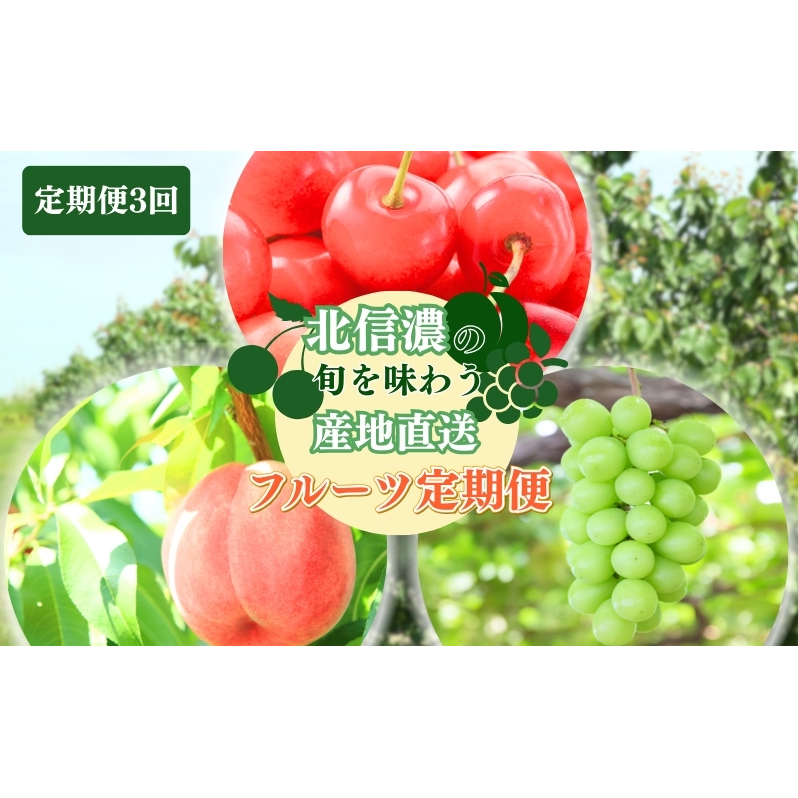 フルーツ 先行予約 定期便 3ヶ月 長野 季節のフルーツ さくらんぼ チェリー 桃 シャインマスカット ぶどう シャイン マスカット 果物 長野県 長野市 2025年 7~9月 定期 お楽しみ 3回 長野県長野市
