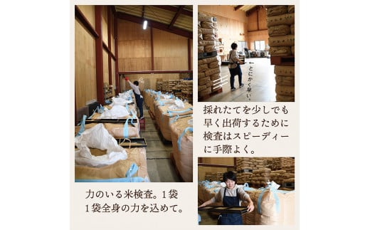 【令和7年産】山形県産　つや姫2kg・雪若丸2kg　少量食べ比べセット