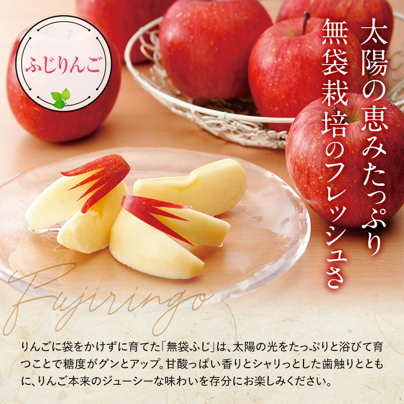 【令和6年産先行予約】 ふじりんご 約3kg (6～10玉 秀品) 《令