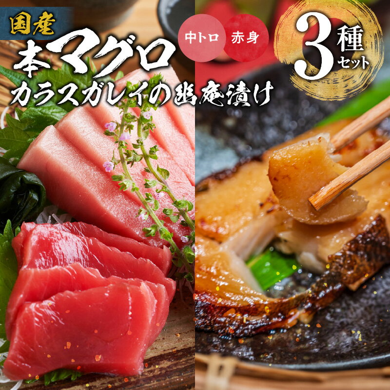 【ふるさと納税】国産 本マグロ カラスガレイ 詰め合わせ セット 赤身 中トロ柵 各1本 計400g 幽庵漬け 5切れ 計300g 厳選 マグロ 活け締め マイナス60℃ 超急速冷凍 ご飯 すすむ 3種類 真空パック ご家庭用 海鮮 海産物 魚 お取り寄せ グルメ 福岡県 久留米市 送料無料