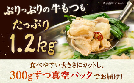 【全3回定期便】もつ鍋セット 5人前×4回分 合計20人　株式会社チクゼンヤ/桂川町[ADBZ054]