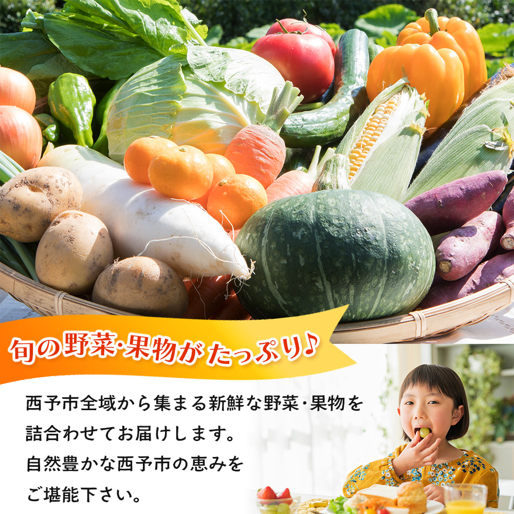 せいよ旬の野菜・果物詰合わせセット　月1回3か月（計3回配送）