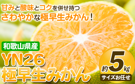 YN26 極早生 みかん 約 5kg（2S～Mサイズおまかせ）《2024年9月中旬-10月末頃出荷》和歌山県 日高川町 フルーツ 果物 極早生 厳選館