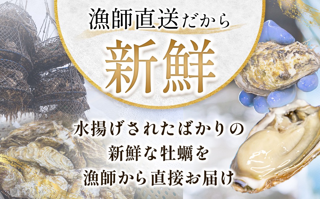 殻いっぱいの大粒な身！コク深い甘みが溢れ出す仙鳳趾の濃厚牡蠣