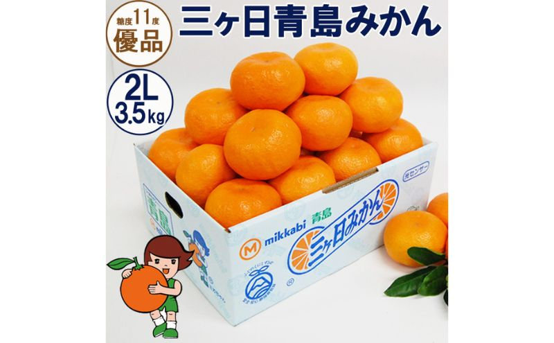 
            三ヶ日青島みかん【優品】2Lサイズ 3.5kg (20個前後) ミカン 果物 くだもの フルーツ 甘い 浜松市 [№5360-0135]
          