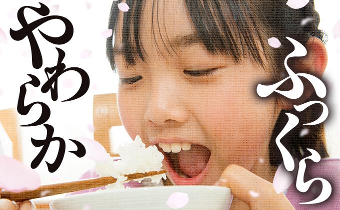 令和６年産 福岡県産米 夢つくし 10kg 精米 10kg（5kg×2袋）